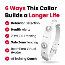 PaaaWOW Collar thumbnail 5