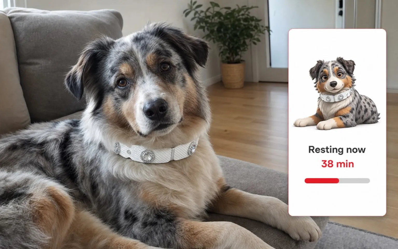 Dog wearing a white PaaaWOW gemstone collar resting on a sofa with live avatar status