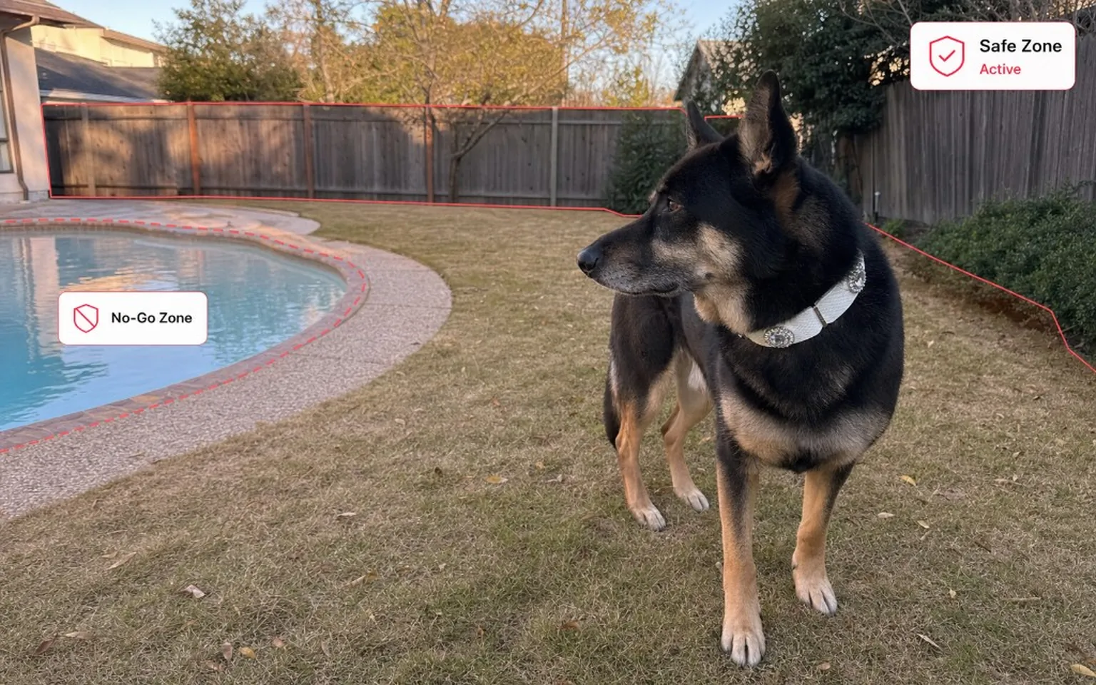 Dog wearing a white PaaaWOW gemstone collar in a backyard with Safe Zone and No-Go Zone boundaries