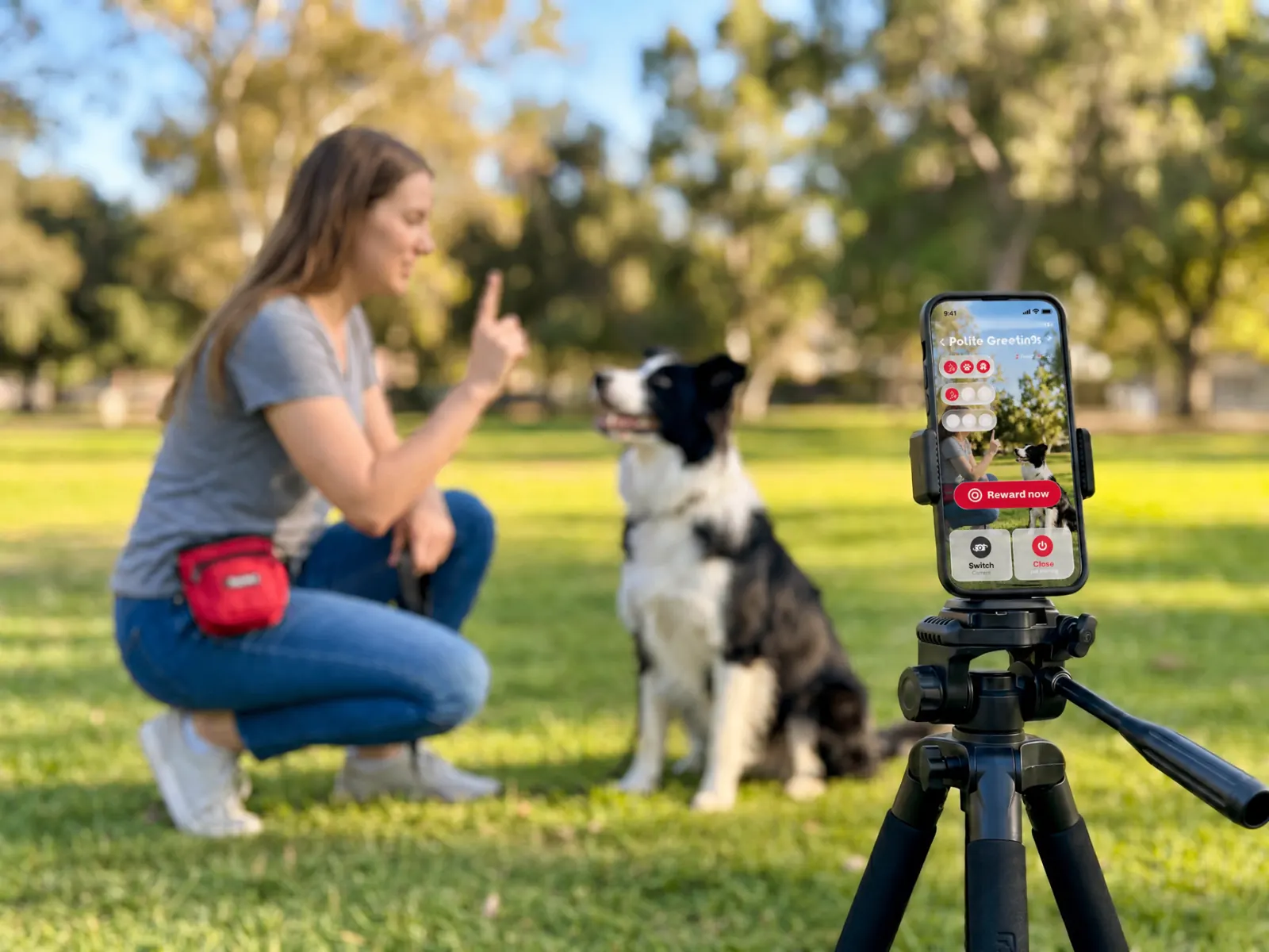 Strategic Overview: PaaaWOW AI Dog Training and Pricing Benefits