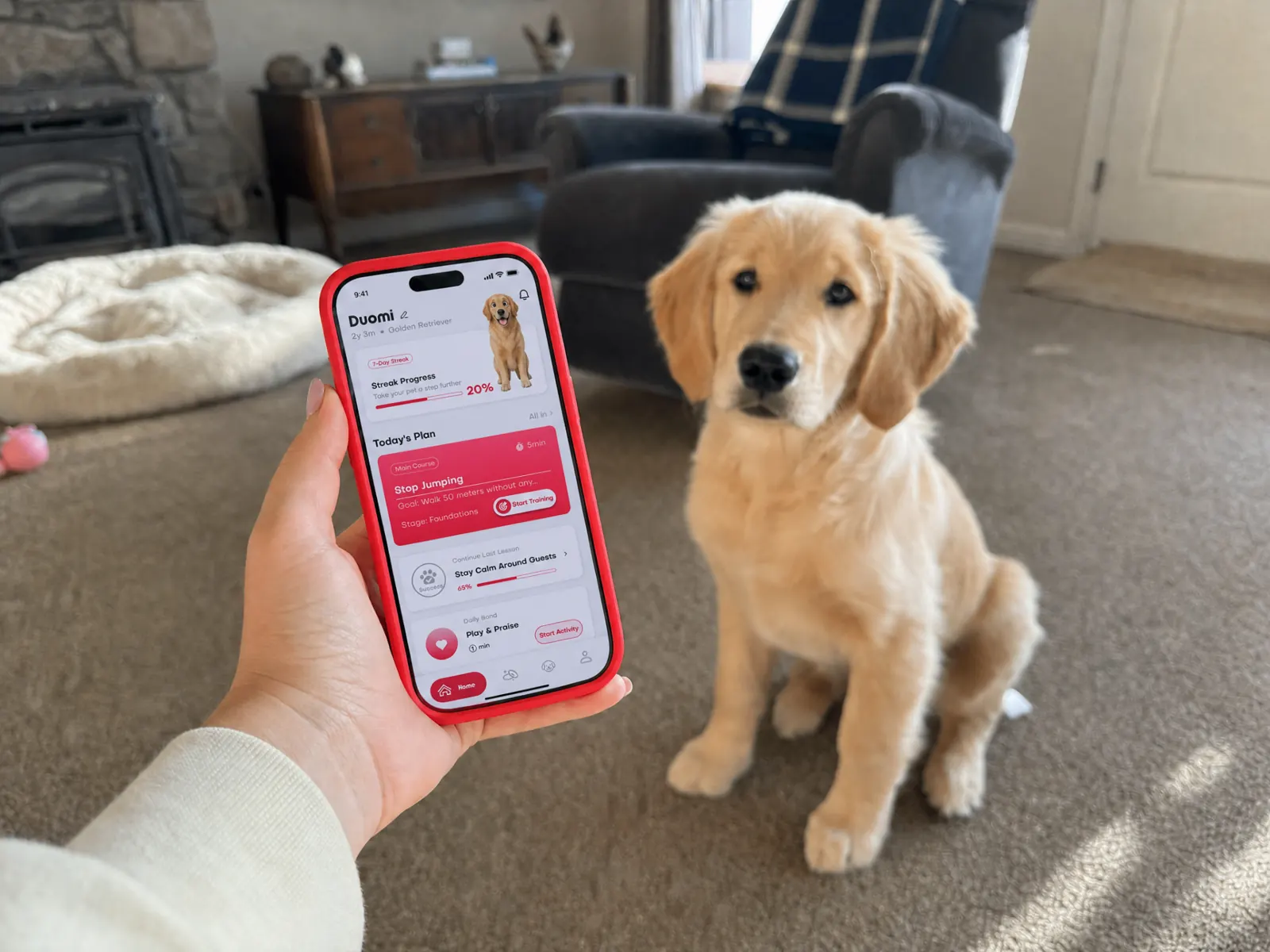 Best PaaaWOW Dog Training Plans for New Puppy Owners in 2026