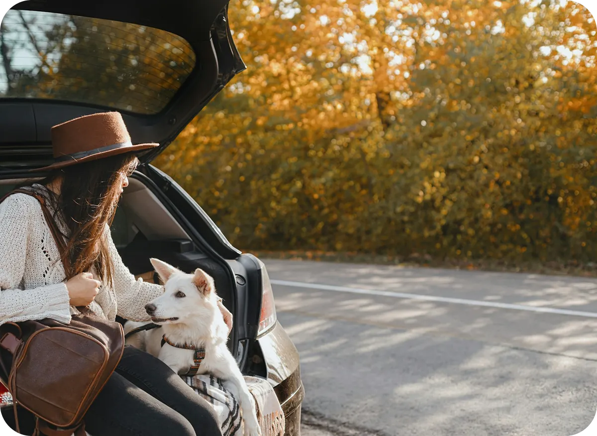Person sitting with dog at sunset