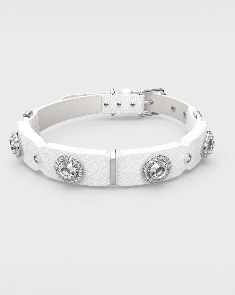 PaaaWOW Collar thumbnail 4