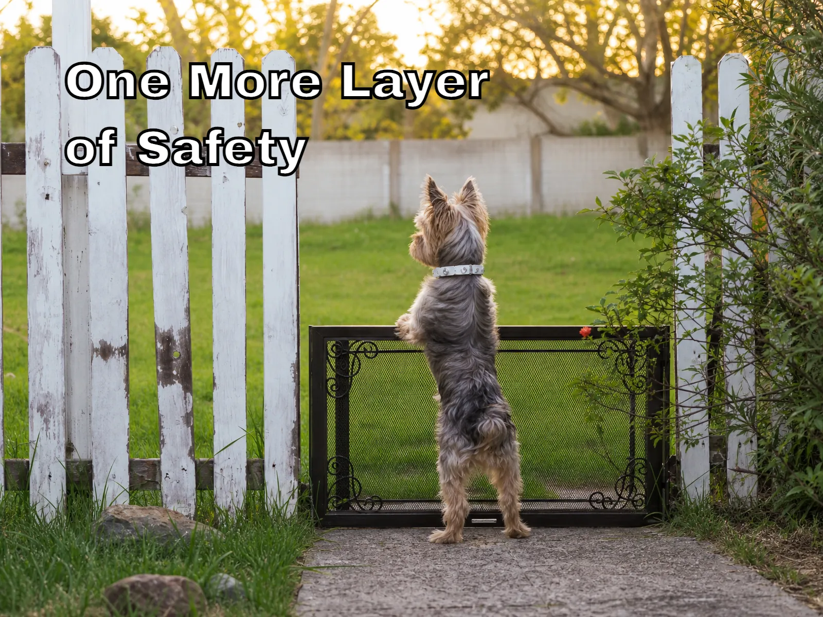 Are GPS Dog Collars Worth It? A Practical Safety Checklist