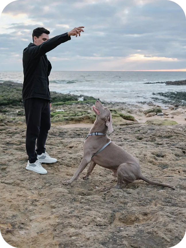 Outdoor environment with dog and owner
