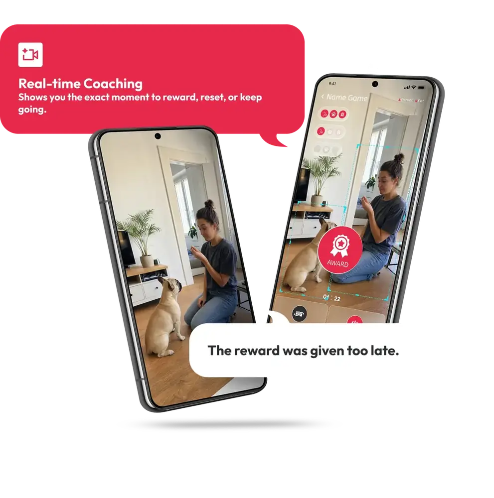 Real-time Feedback