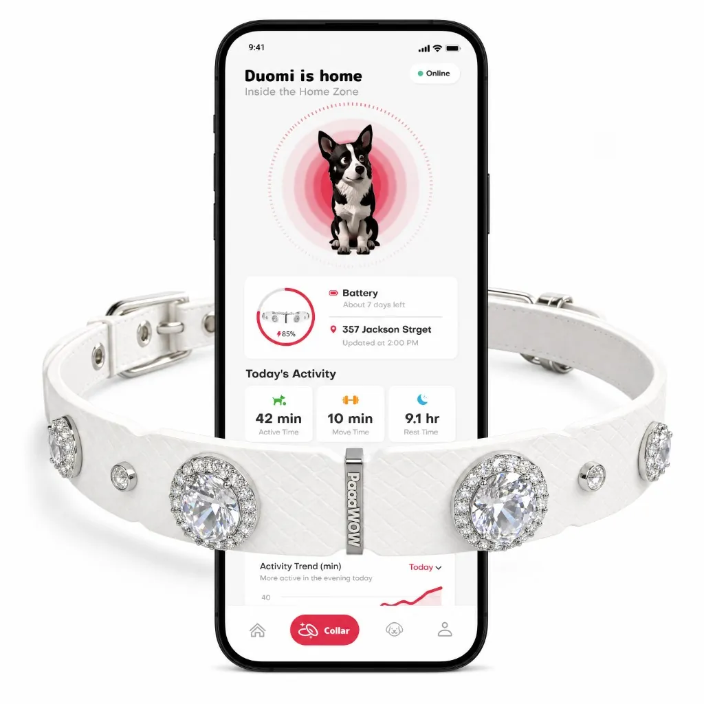 PaaaWOW Collar product image 1